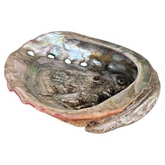 Shell Vide Poche Silver and Naturel Colors 20th Century
