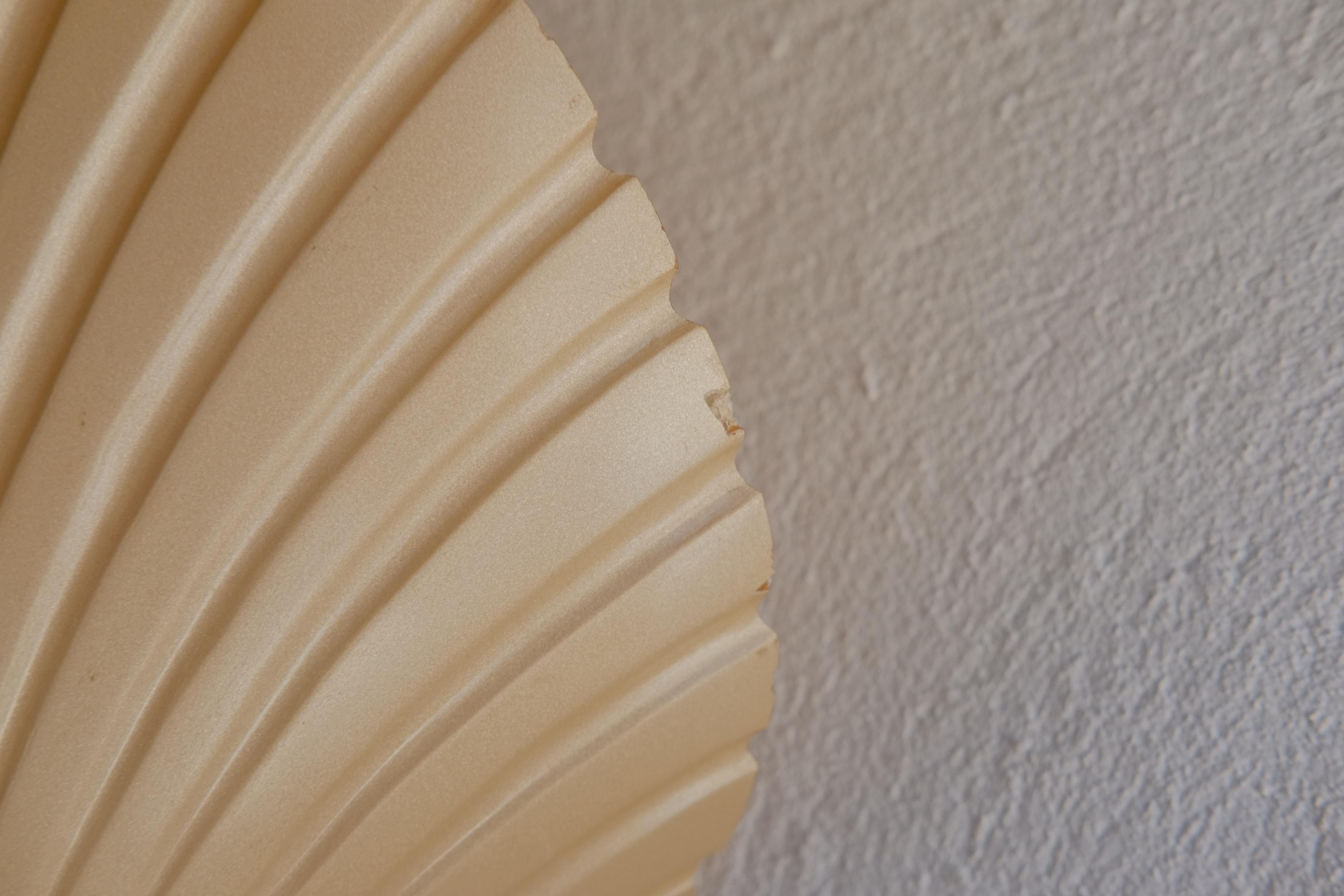 Mid-20th Century Shell Wall Lamps by Michelle Mahe & Andre Cazenave, 1960's