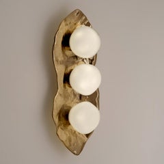 Shell Wall Light by Gaspare Asaro-Bronze Finish