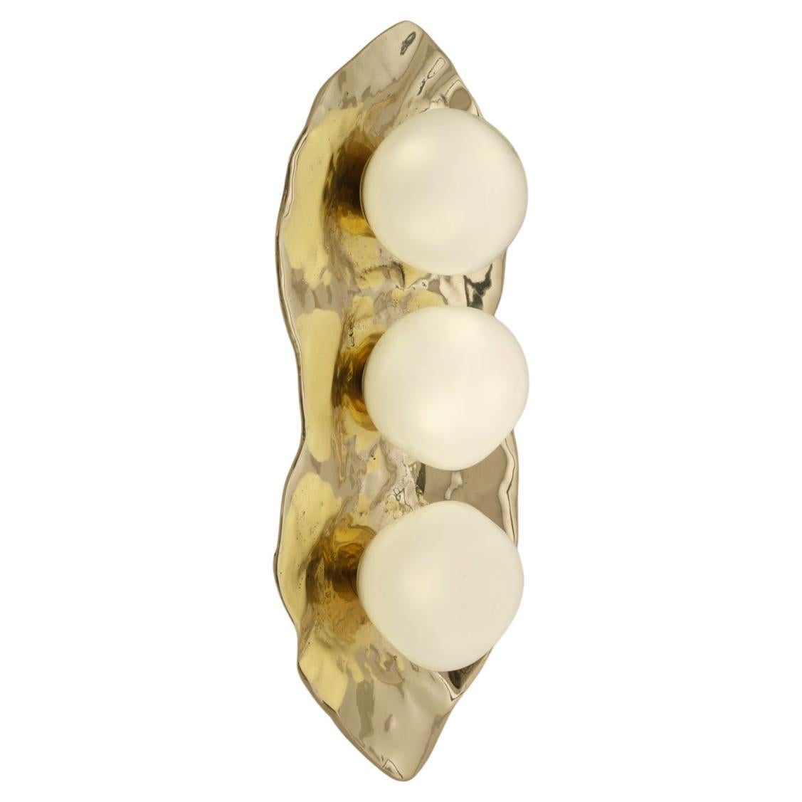 Shell Wall Light by Gaspare Asaro-Polished Brass Finish For Sale
