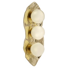Shell Wall Light by Gaspare Asaro-Polished Brass Finish