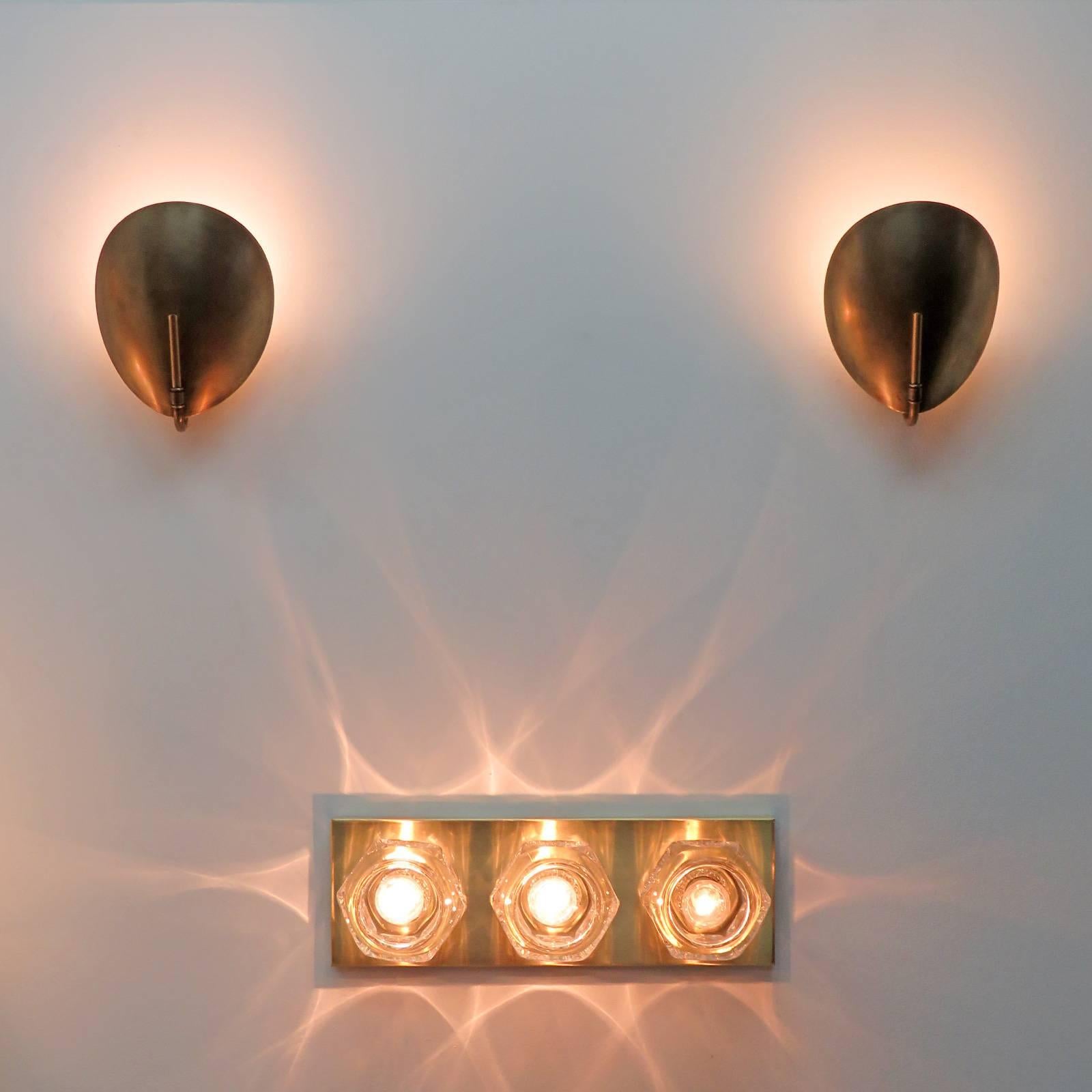 Shell Wall Lights by Gallery L7 For Sale 3