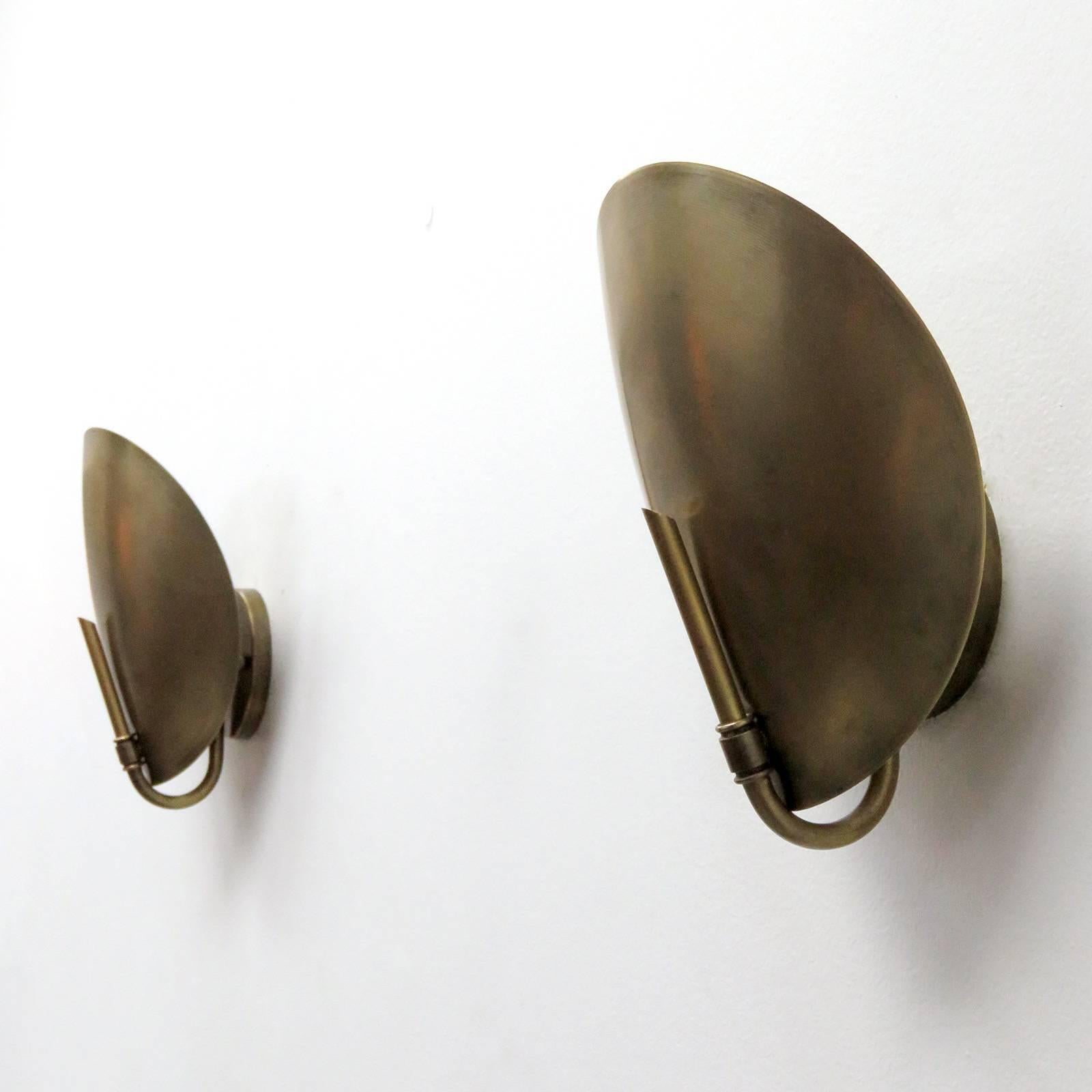 Patinated Shell Wall Lights by Gallery L7 For Sale