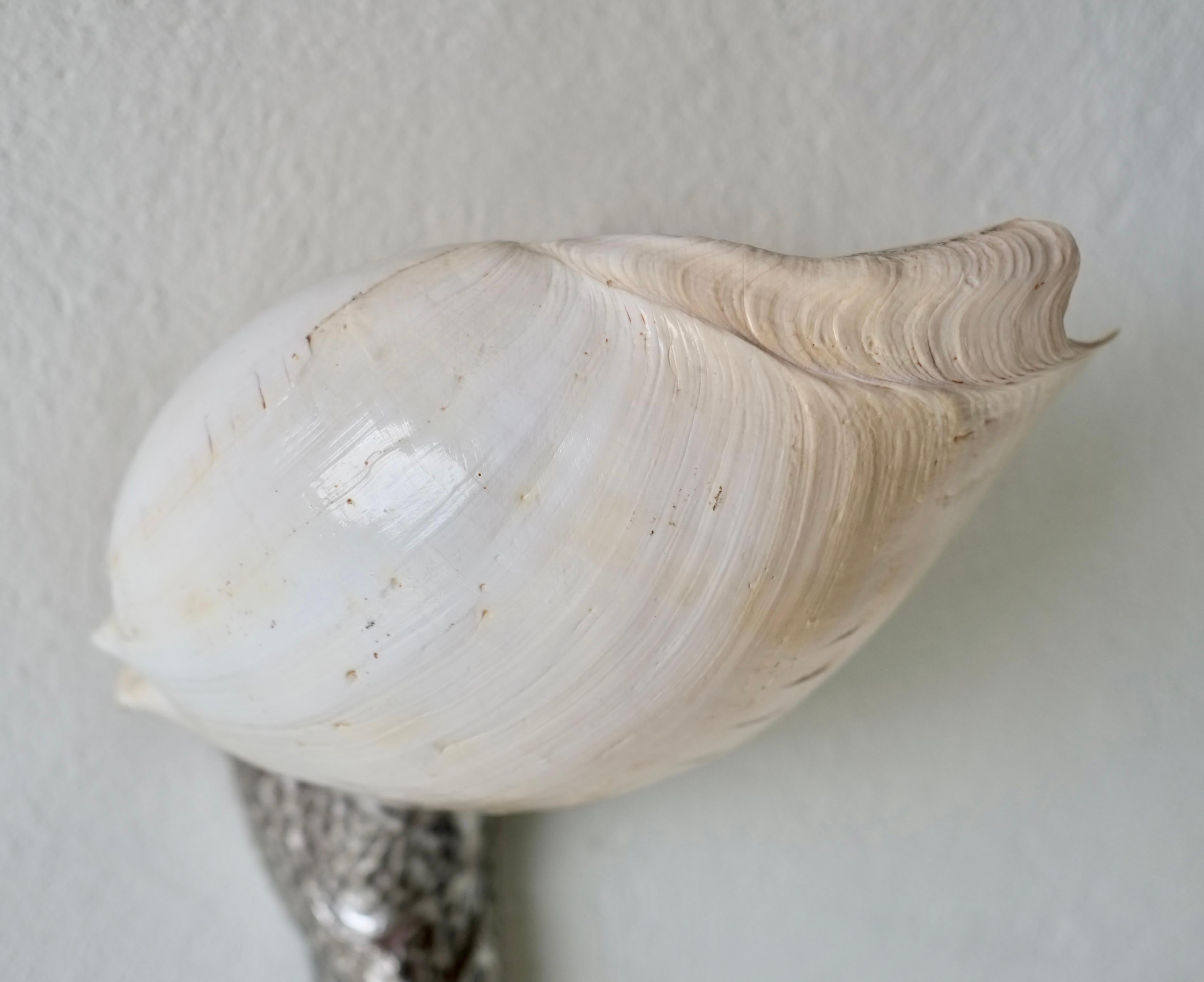 Wandleuchter mit Muschelmotiv von Annibale Oste für Nanda Vigo im Angebot 5