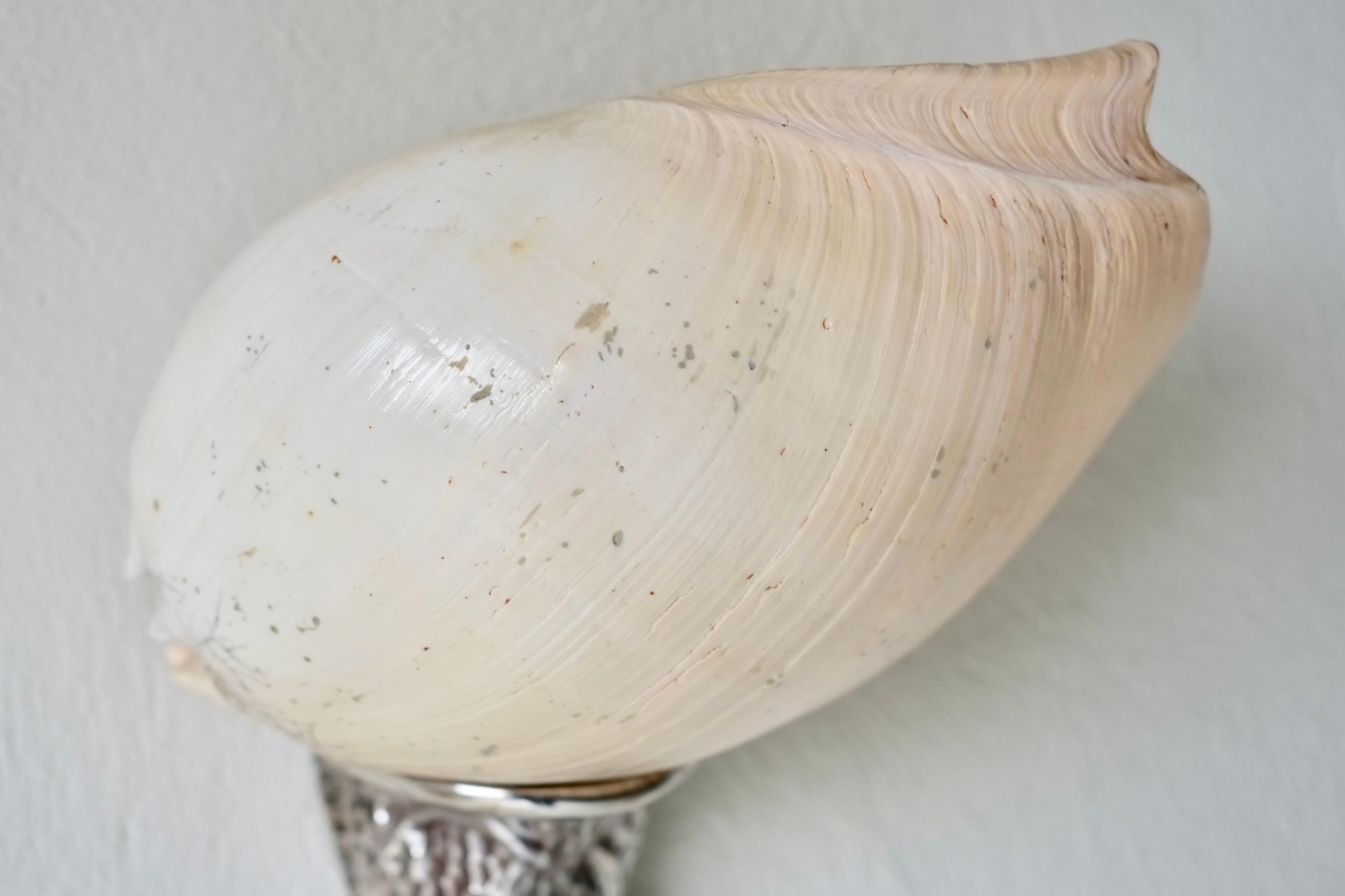 Wandleuchter mit Muschelmotiv von Annibale Oste für Nanda Vigo im Angebot 6