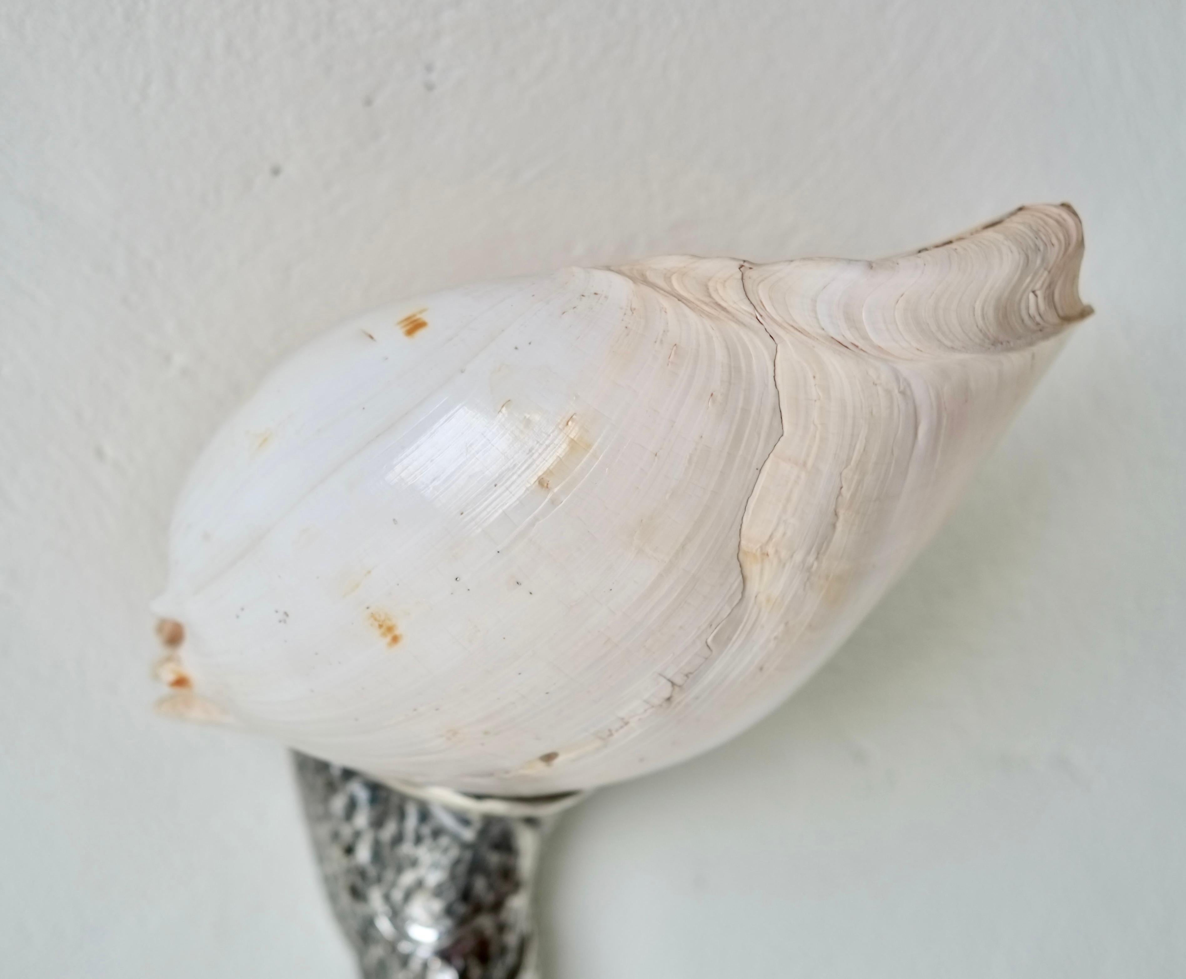 Wandleuchter mit Muschelmotiv von Annibale Oste für Nanda Vigo im Angebot 7