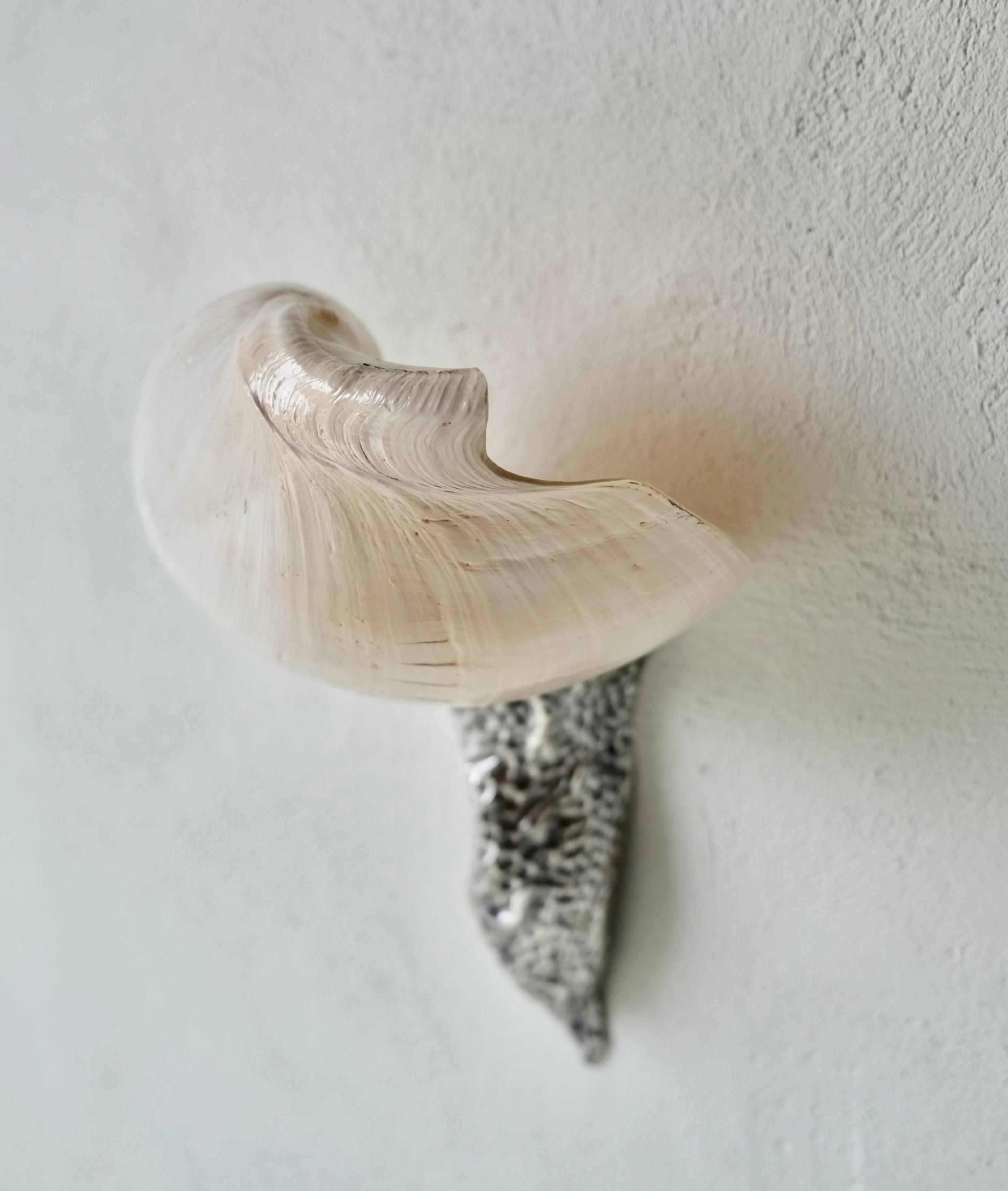 Wandleuchter mit Muschelmotiv von Annibale Oste für Nanda Vigo im Angebot 4