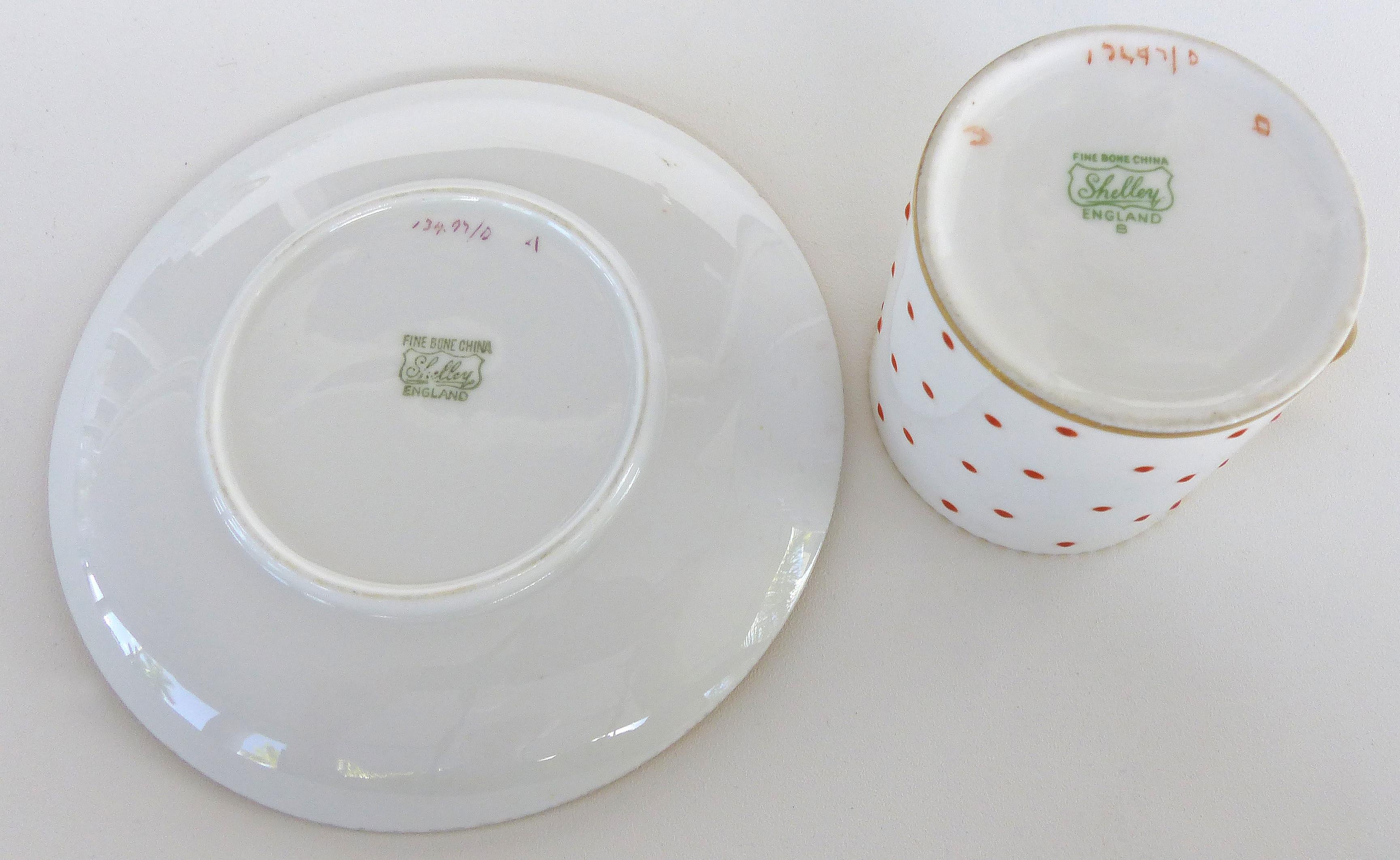 bone china vs porcelain