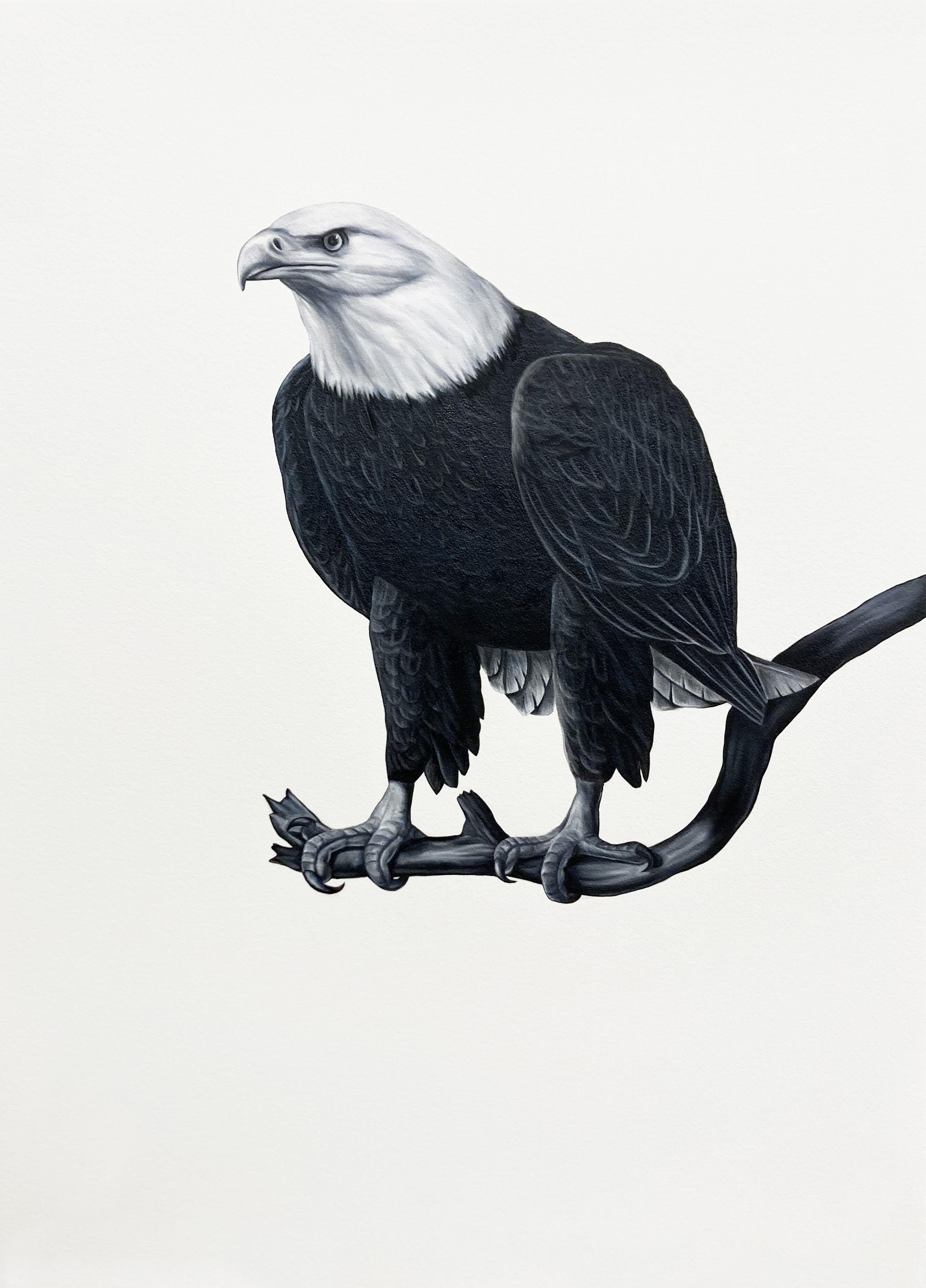 Shelley Reed Animal Painting - Bald Eagle I