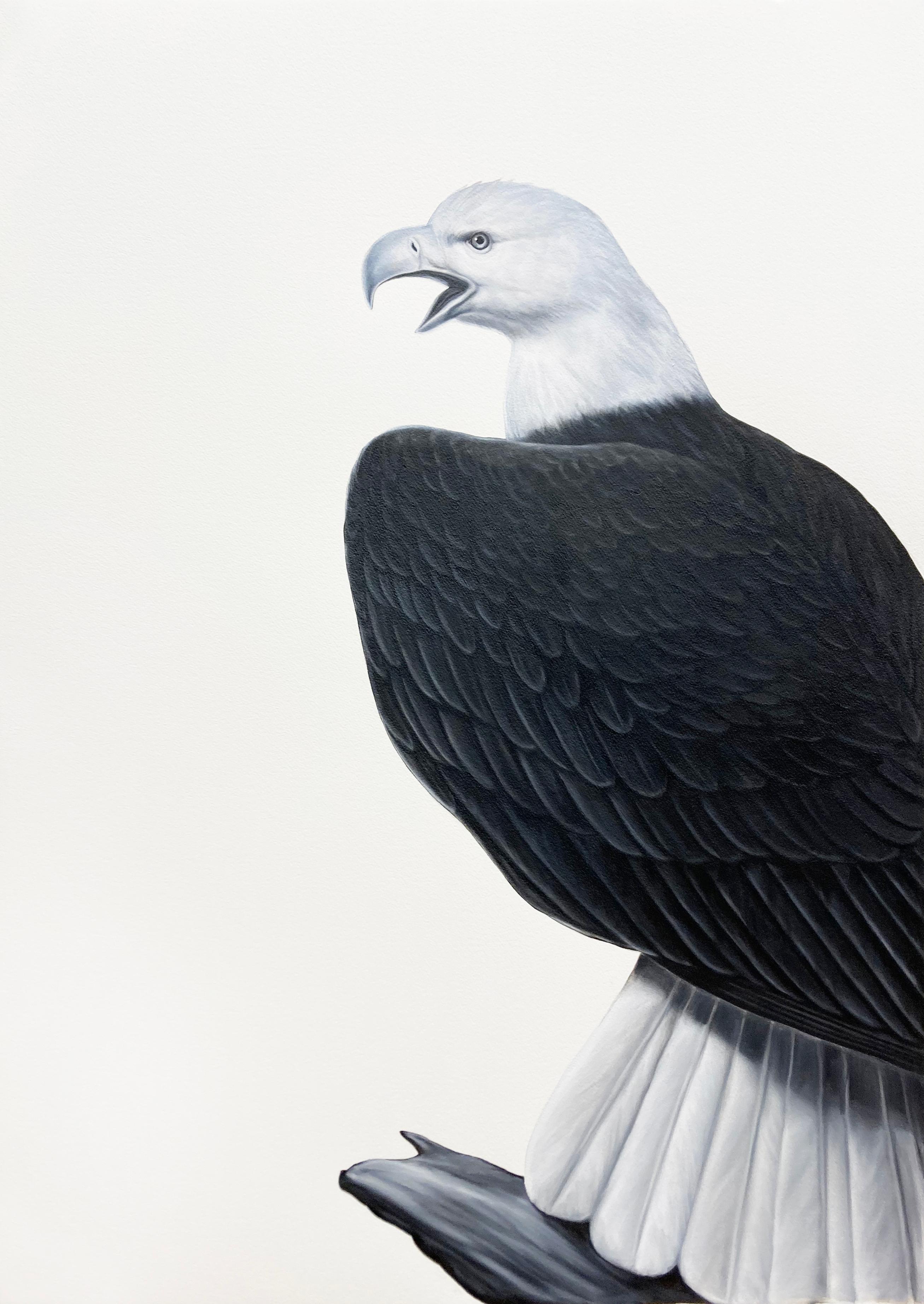 Shelley Reed Animal Painting - Bald Eagle II