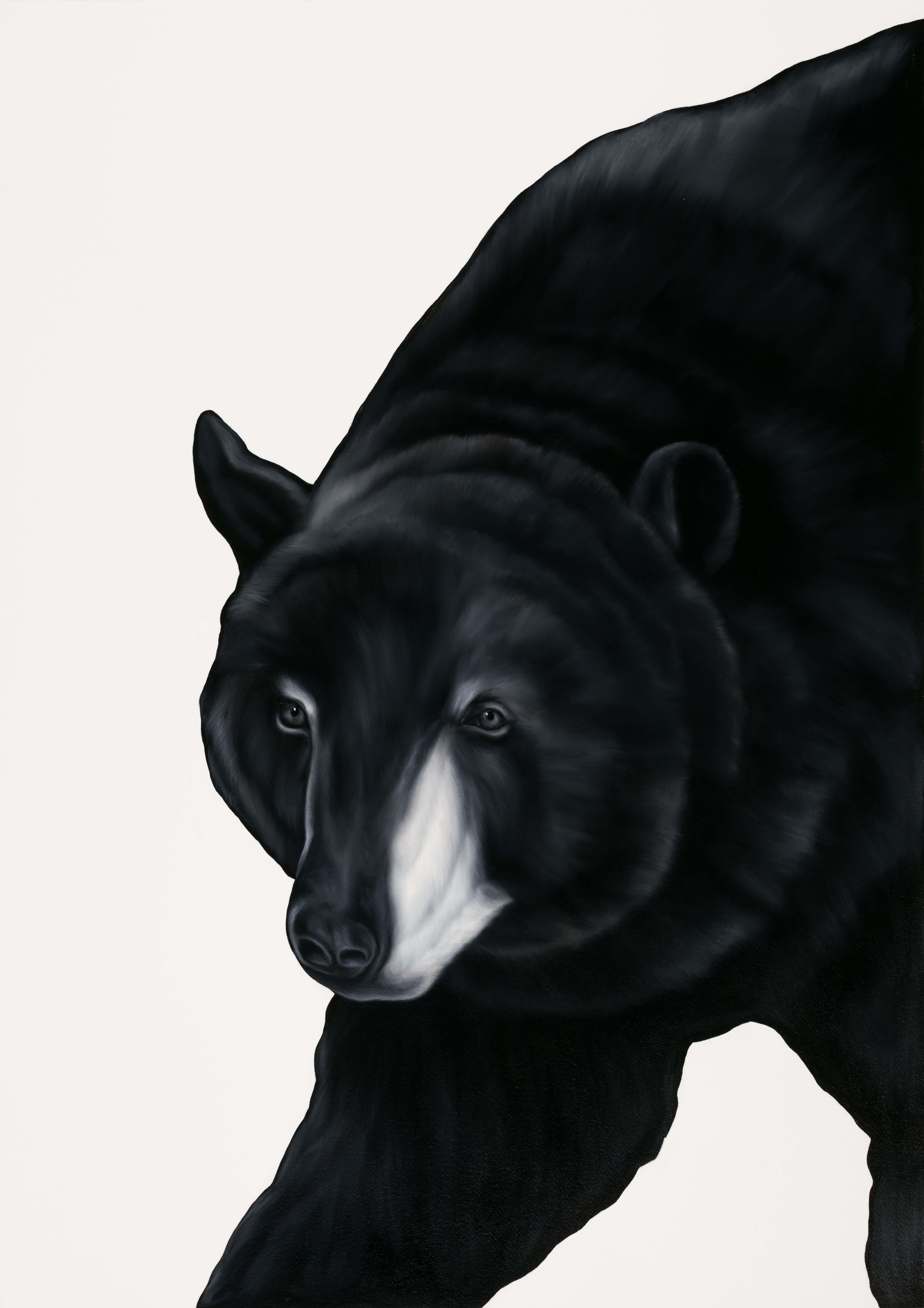 Shelley Reed Animal Painting - Bear 2