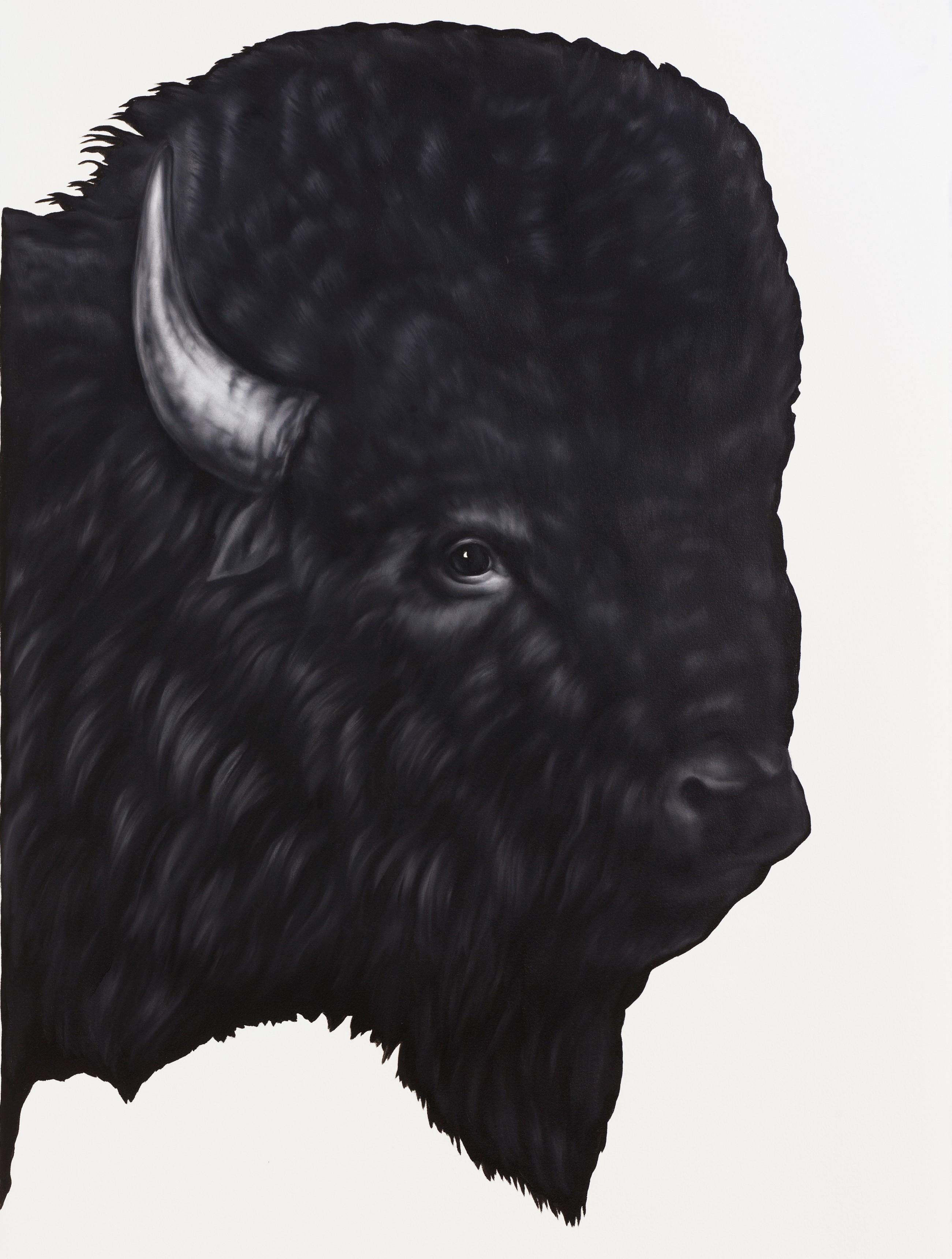 Bison - Painting by Shelley Reed