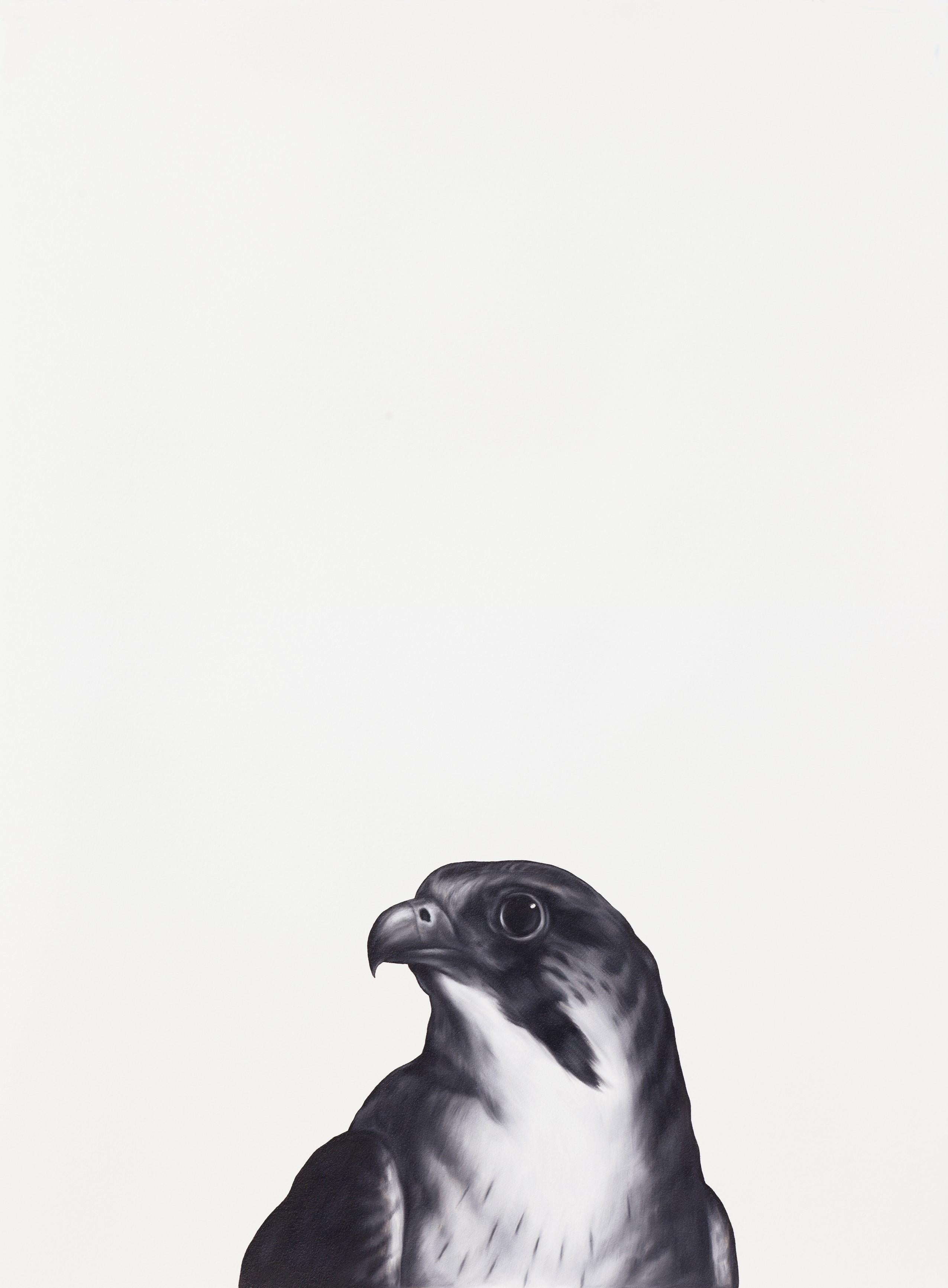 Falcon (after Landseer) - Painting by Shelley Reed