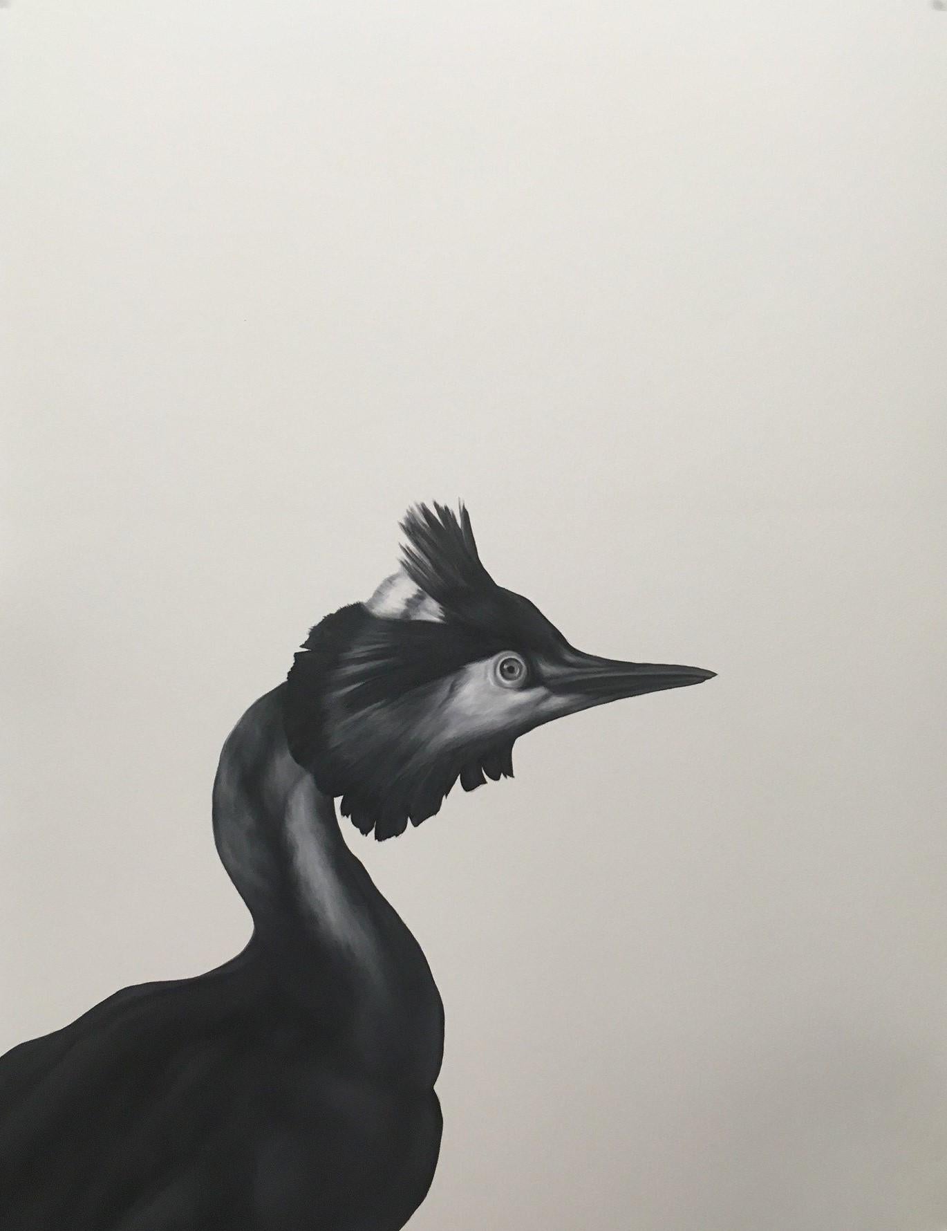 Shelley Reed Animal Painting - Great Crested Grebe (after Duranti)