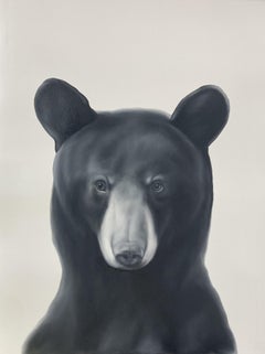 Piccolo Orso