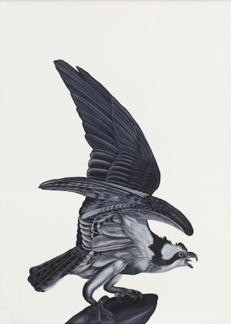 Shelley Reed Animal Painting - Osprey 1 (after Audubon)