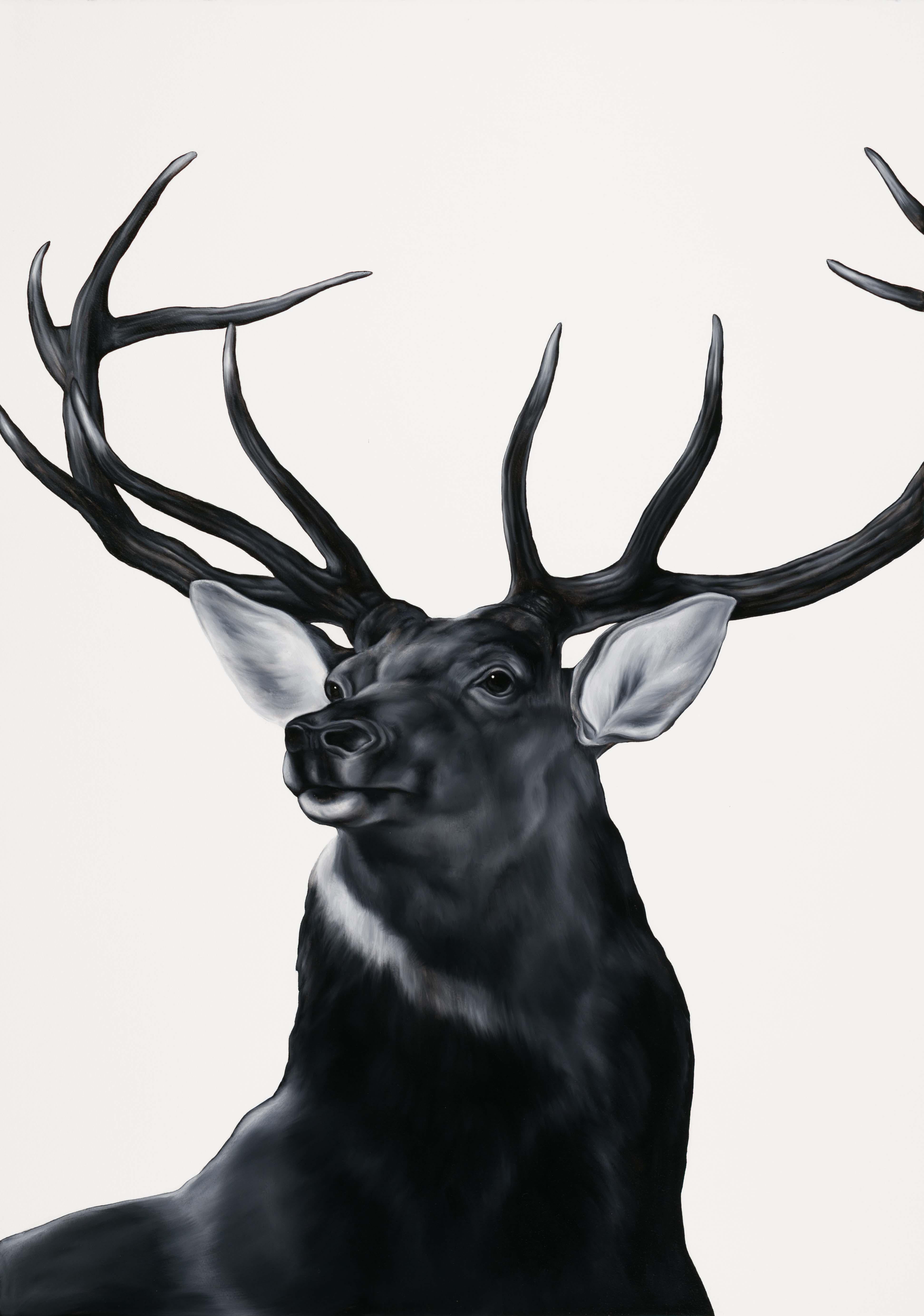 Shelley Reed Animal Painting - Stag (after Landseer)