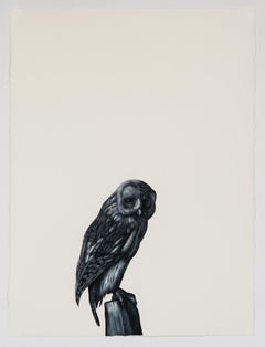 Hibou écailleux (d'après Berjer et Van Kouwenbergh)