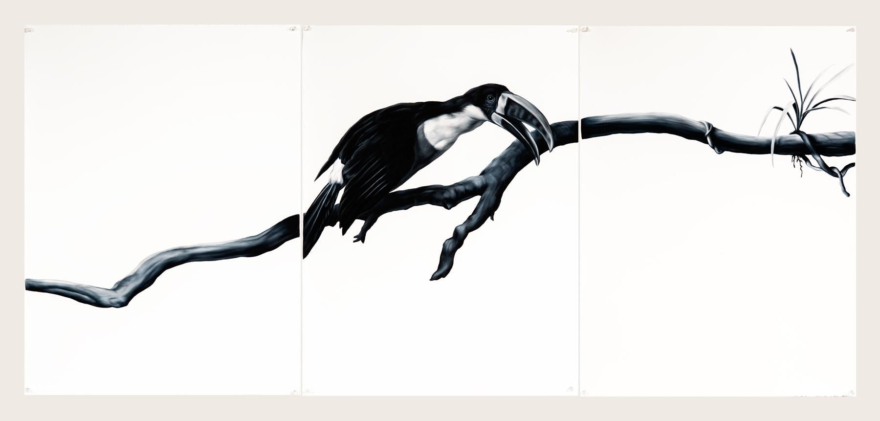 Shelley Reed Figurative Painting - Toucan triptych (after Desportes)