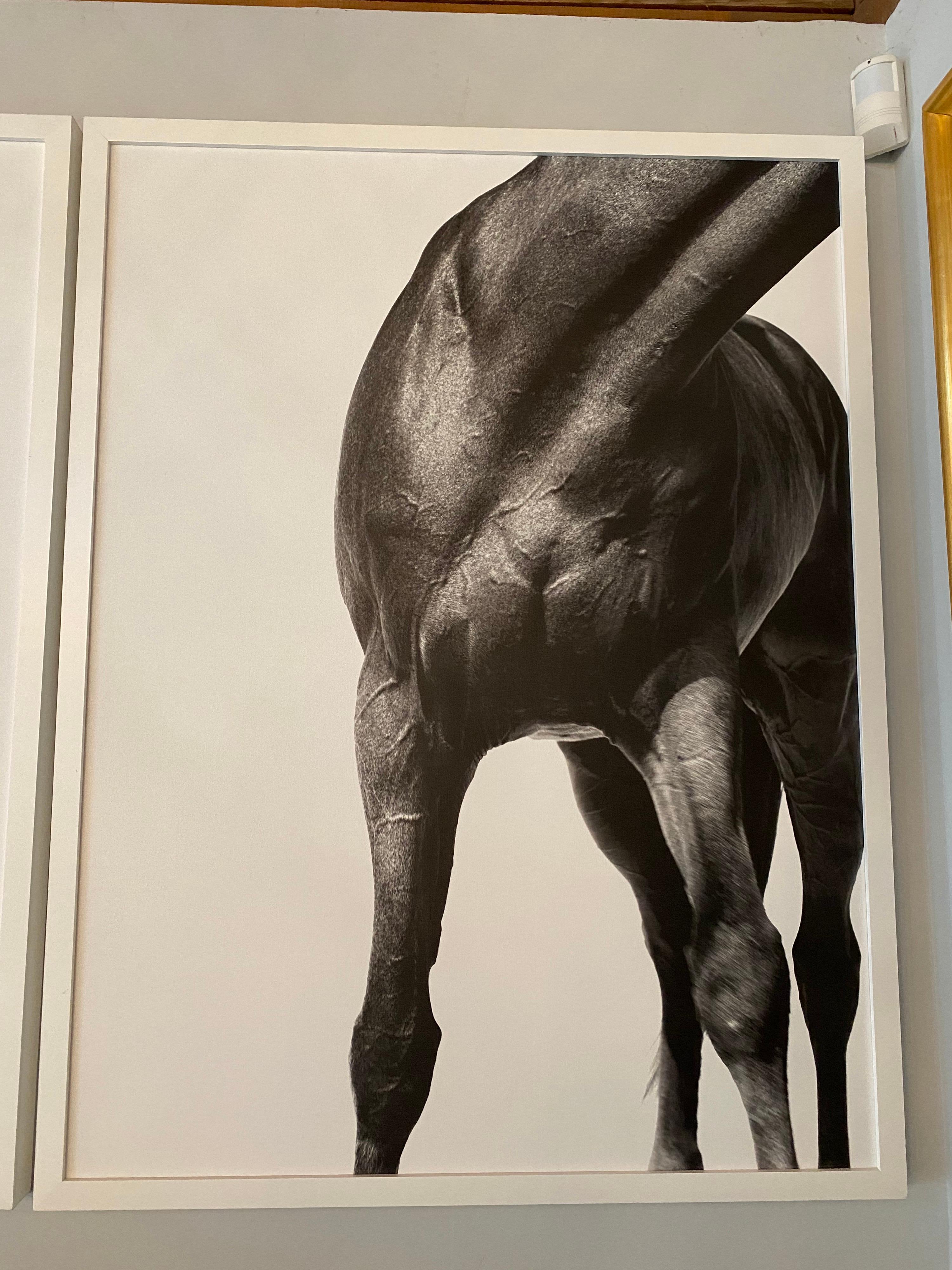 Shelli Breidenbach horse triptych

Measures: 39