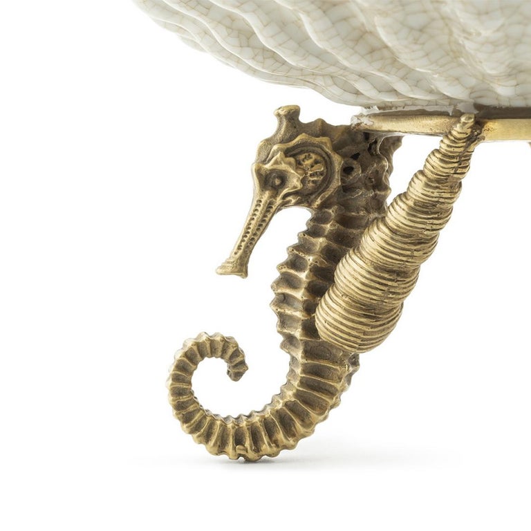 Shells Box For Sale at 1stDibs