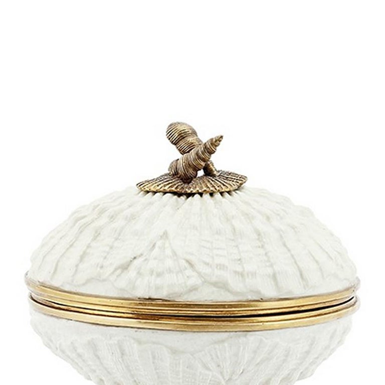 Shells Box in White Porcelain at 1stDibs