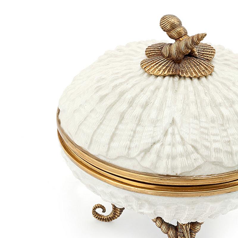 Hand-Carved Shells Box in White Porcelain
