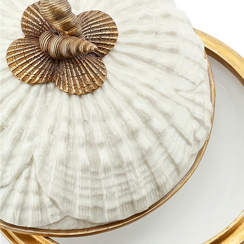 Contemporary Shells Box in White Porcelain
