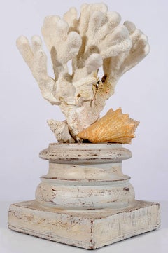 Composizione scultorea di conchiglie su un vecchio capitello di legno