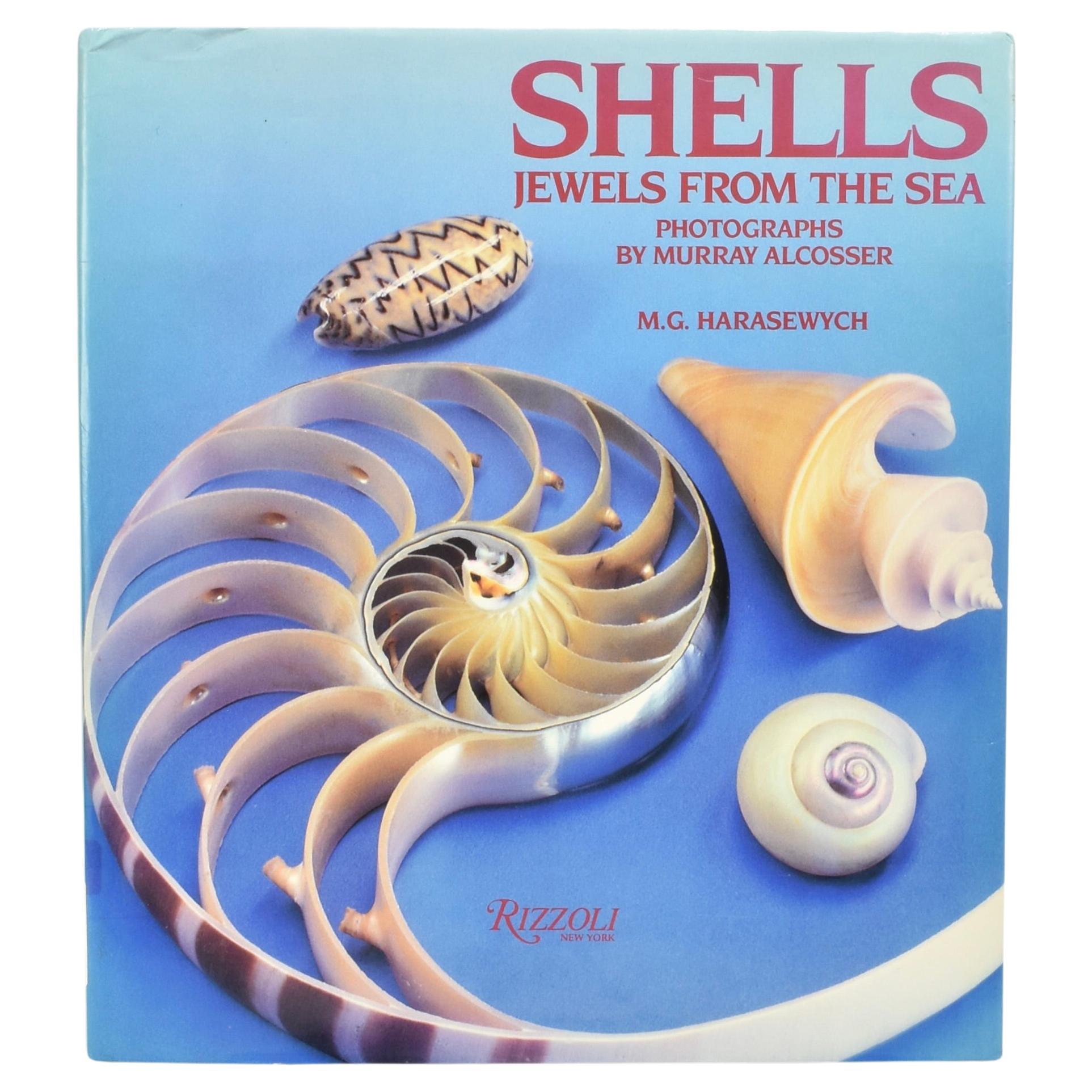 Shells: Jewels From the Sea