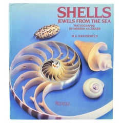 Shells: Jewels From the Sea