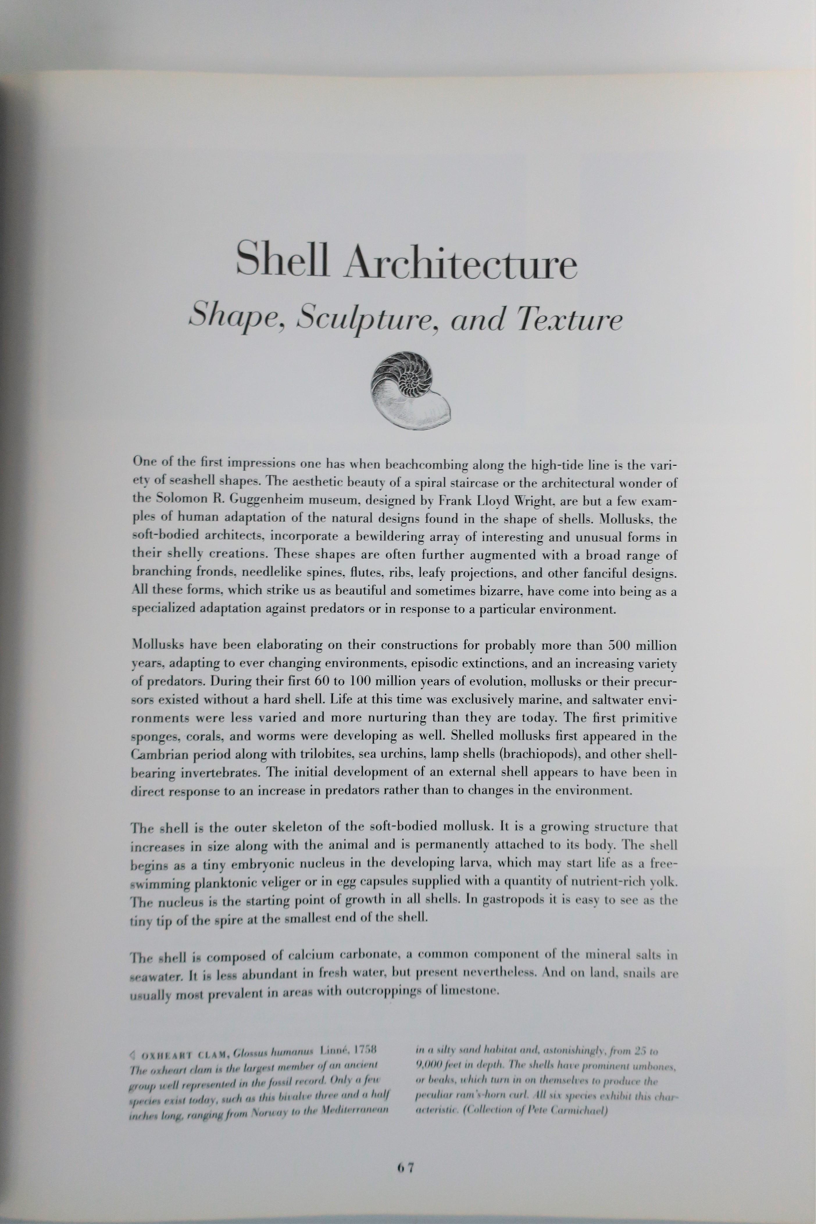 Shells 'Treasures of the Sea' Sea Shell Library or Coffee Table Book, ca. 1990s 6