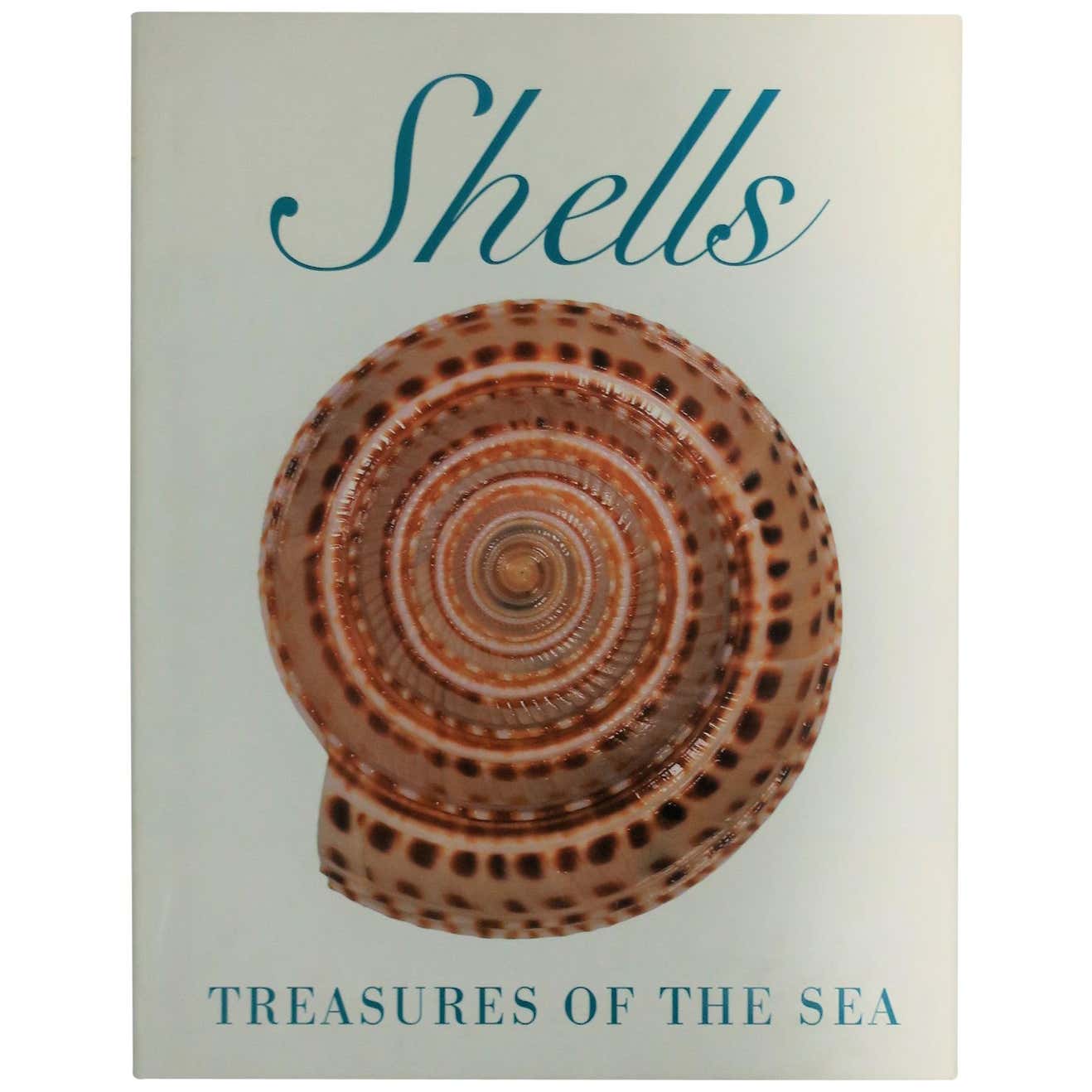 Shells 'Treasures of the Sea' Sea Shell Library or Coffee Table Book ...