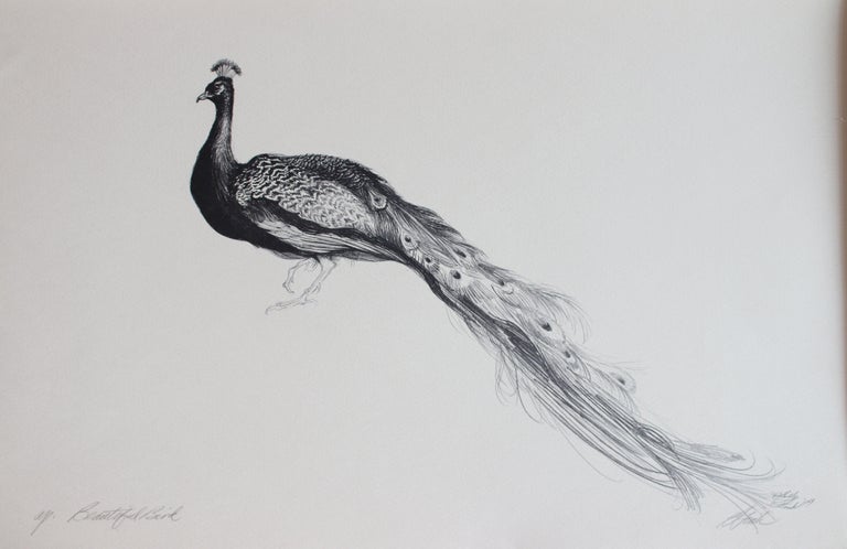 Shelly Fink Animal Print - Beautiful Bird (Artist Proof)