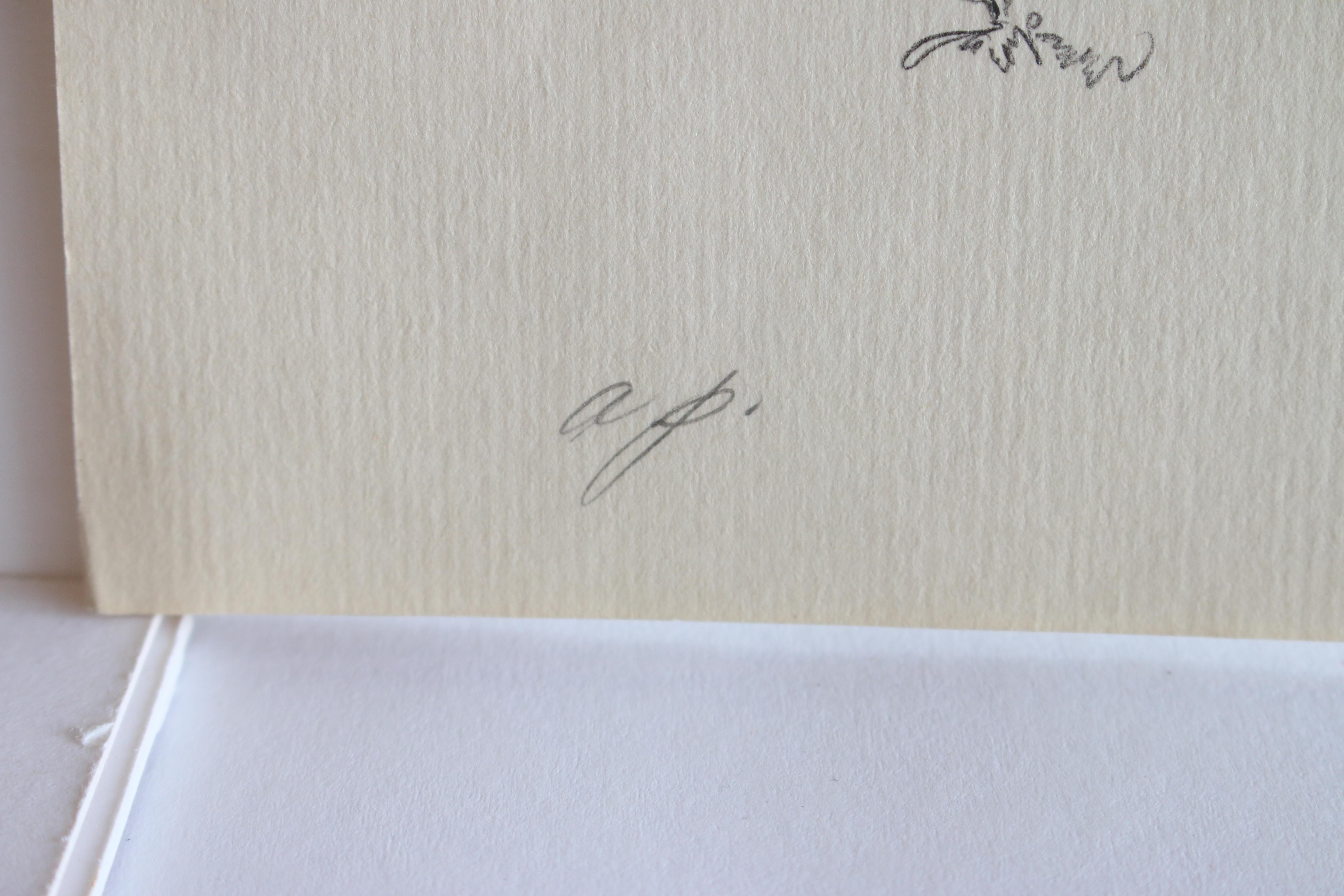 Olmo moribundo, Vermont (Prueba de artista) - Landscape Print Gris de Shelly Fink