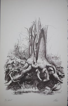 Roots