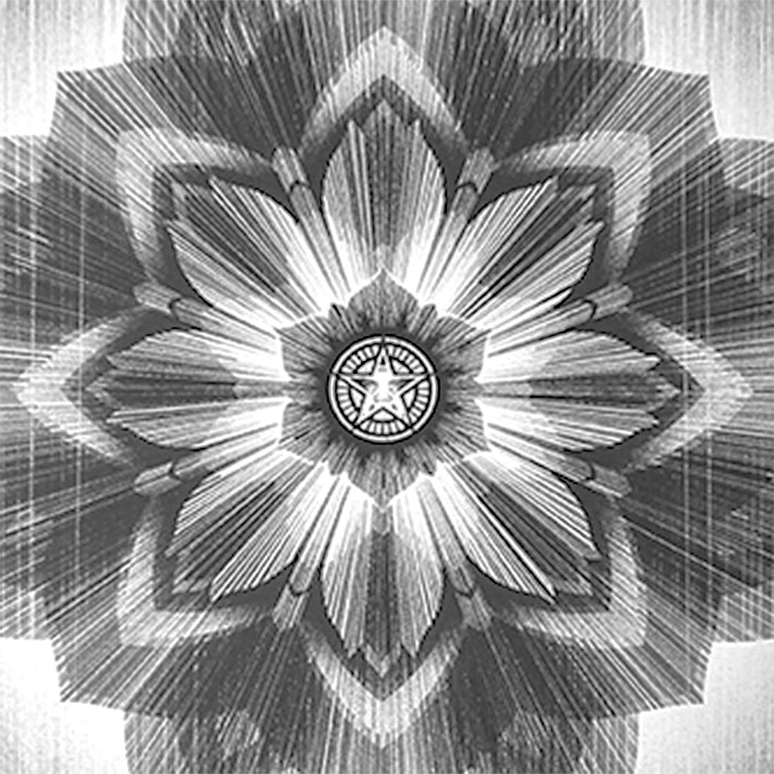Shepard Fairey x Kai & Sunny Stardust (argento e nero) - Print Contemporaneo di Shepard Fairey and Kai & Sunny