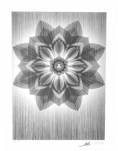 Stardust (Silver & Black)