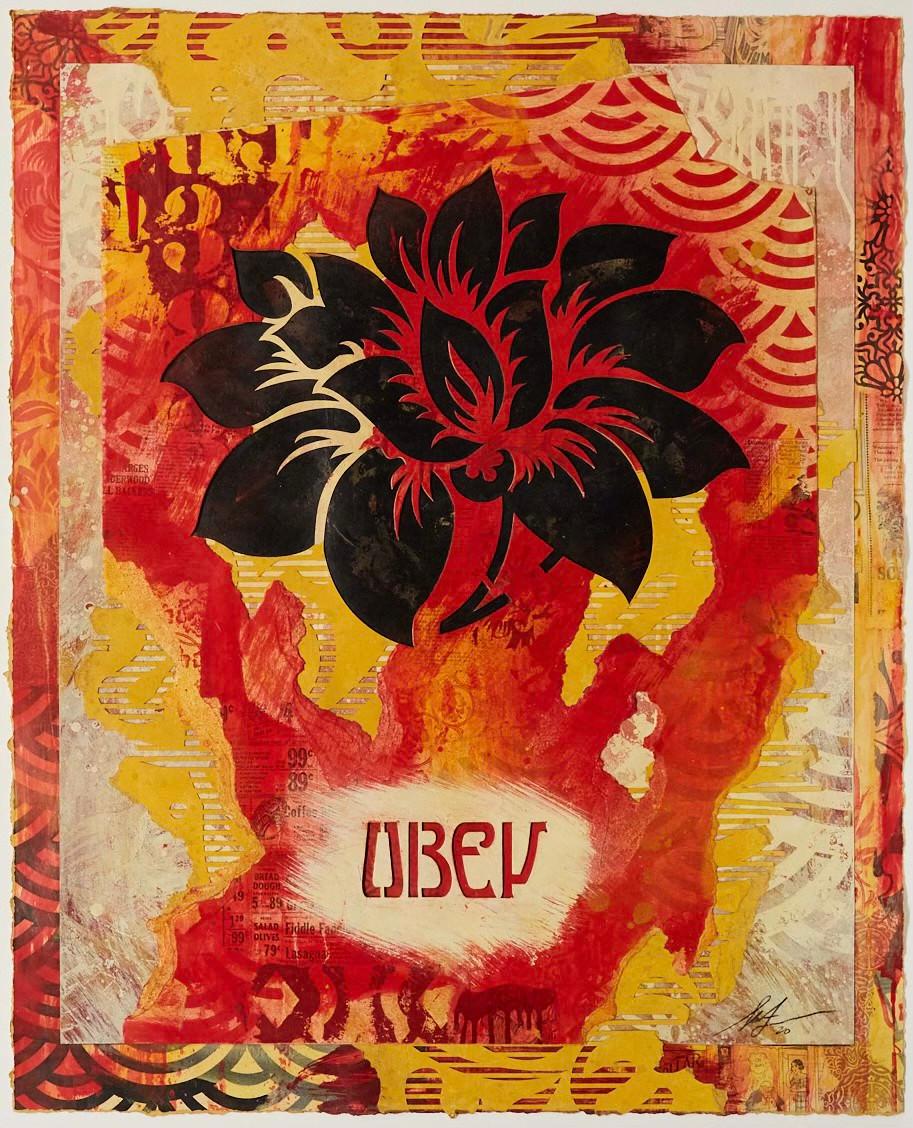 Skateboard Shepard Fairey Obey – Propagande Livraison, Signé, Rare, 31"