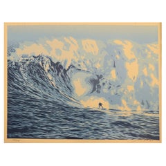 Shepard Fairey Obey Jaws Wave Limited Edition Screenprint 426/450 Hand Signed 20