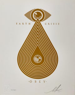 Earth Crisis Letterpress, Obey, Shepard Fairey Activism Street Art Print