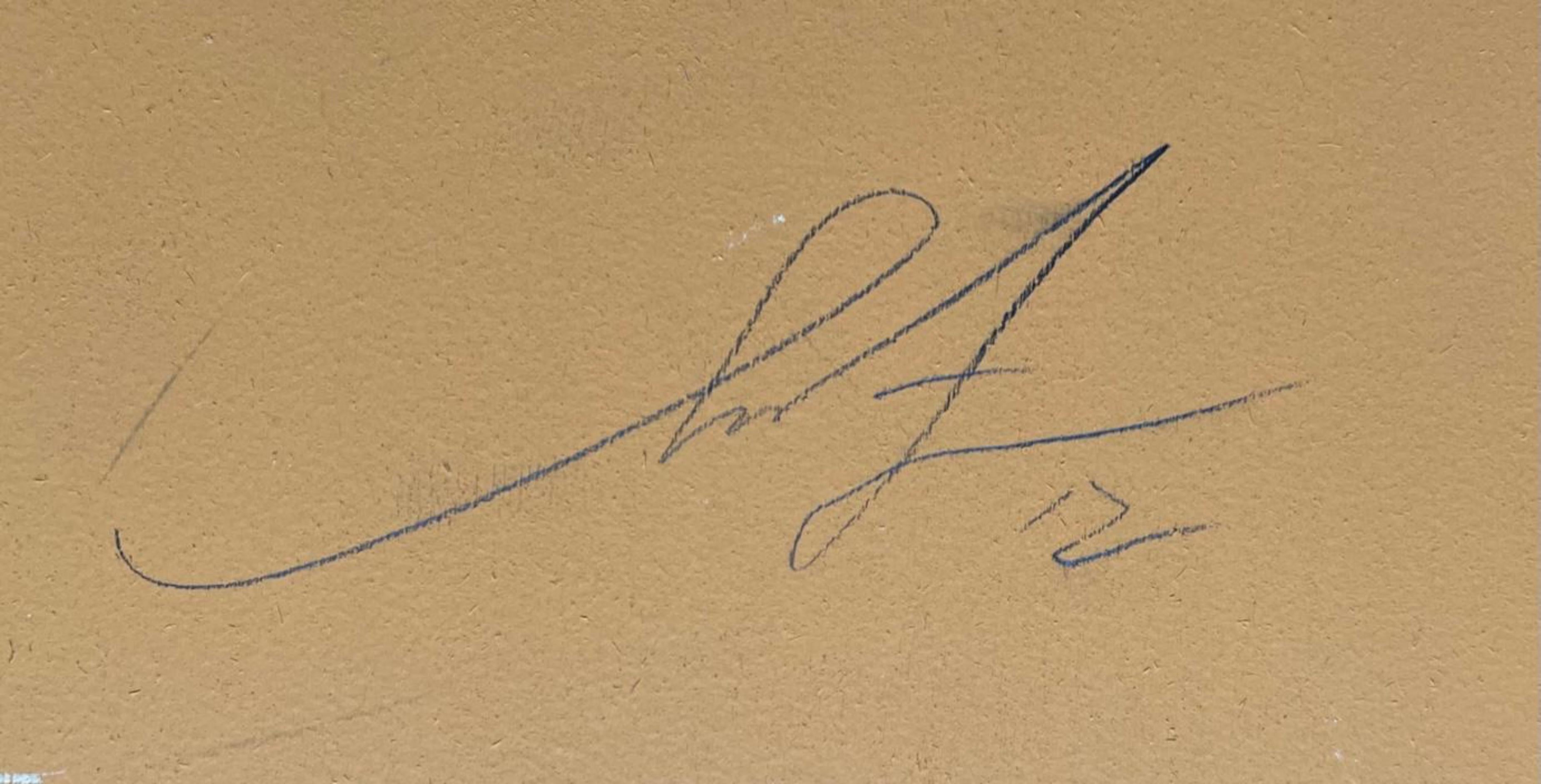 God Save the Queen, Signed work on wood panel, AP aside from edition of 6 - Print by Shepard Fairey