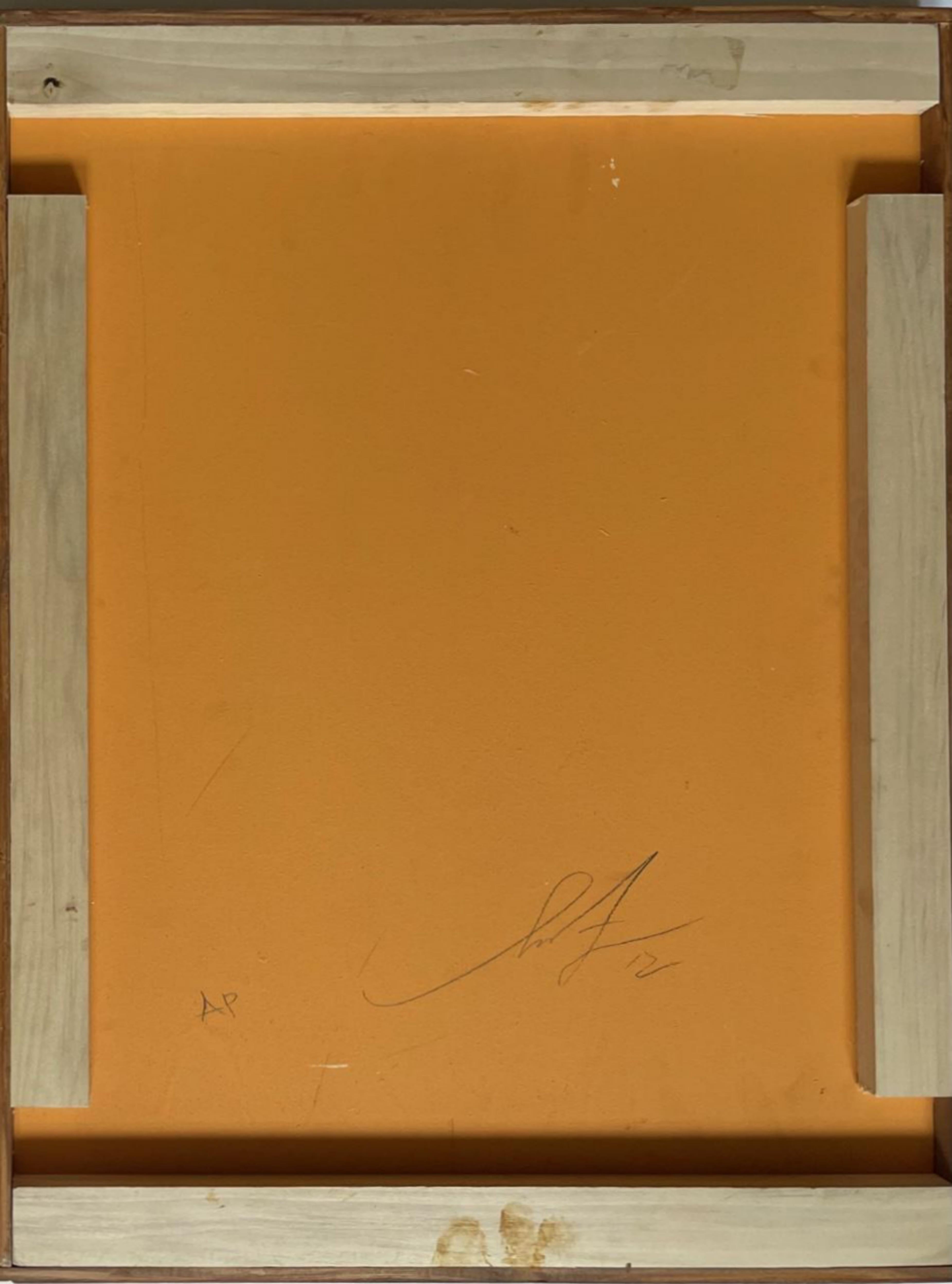 God Save the Queen, Signed work on wood panel, AP aside from edition of 6 - Pop Art Print by Shepard Fairey