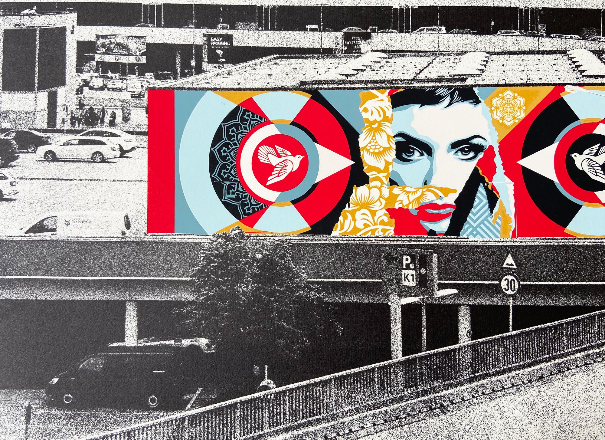 Ideal Power Dove, Photogravure and Silkscreen, Street Art, Urban Art - Print by Shepard Fairey