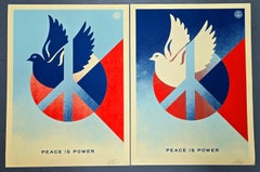 Peace is Power SET (Matching Numbers, Symbolism, Nonviolence, Unity, Diplomacy)