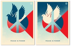 Peace is Power SET (Matching Numbers, Symbolism, Nonviolence, Unity, Diplomacy)