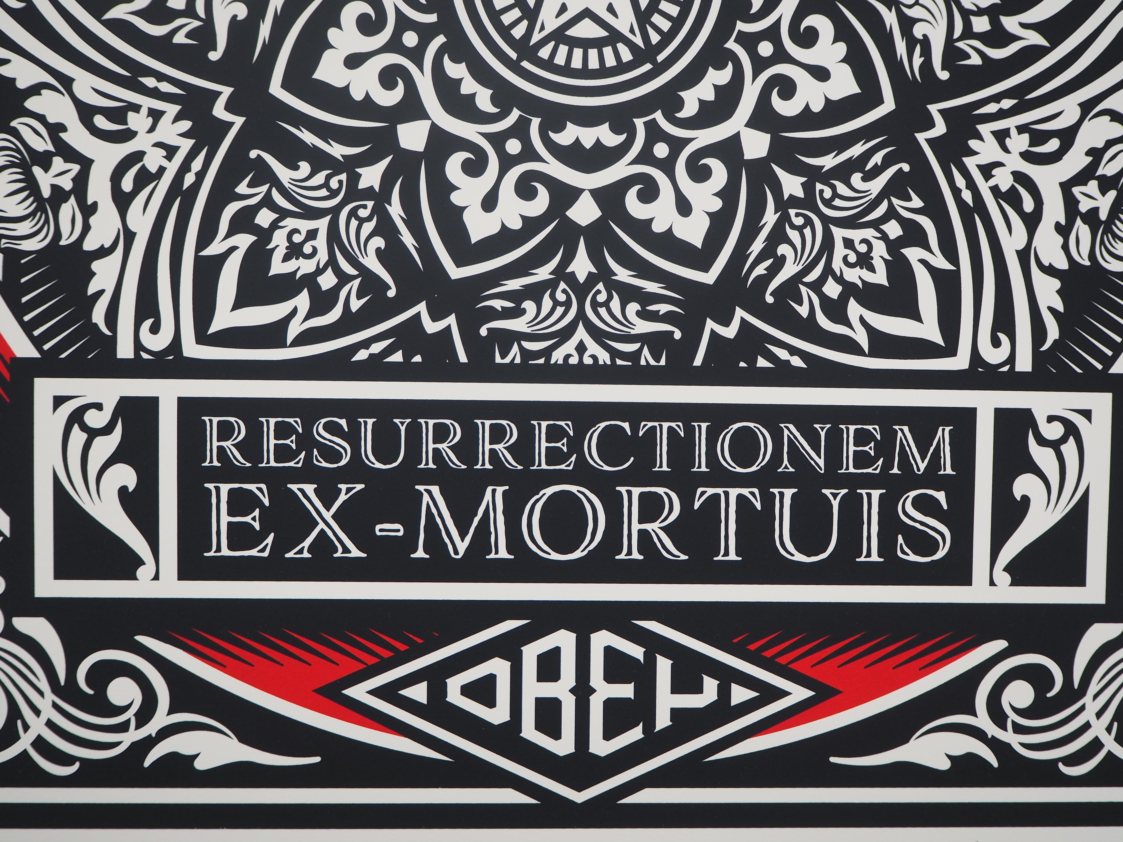 Ressurectionem Ex-Mortuis - Original Screenprint Handsigned  - Gray Figurative Print by Shepard Fairey