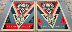 Coffret « Rise Above Earth Justice » (Fresque de Shoreditch, migration, critique sociale)