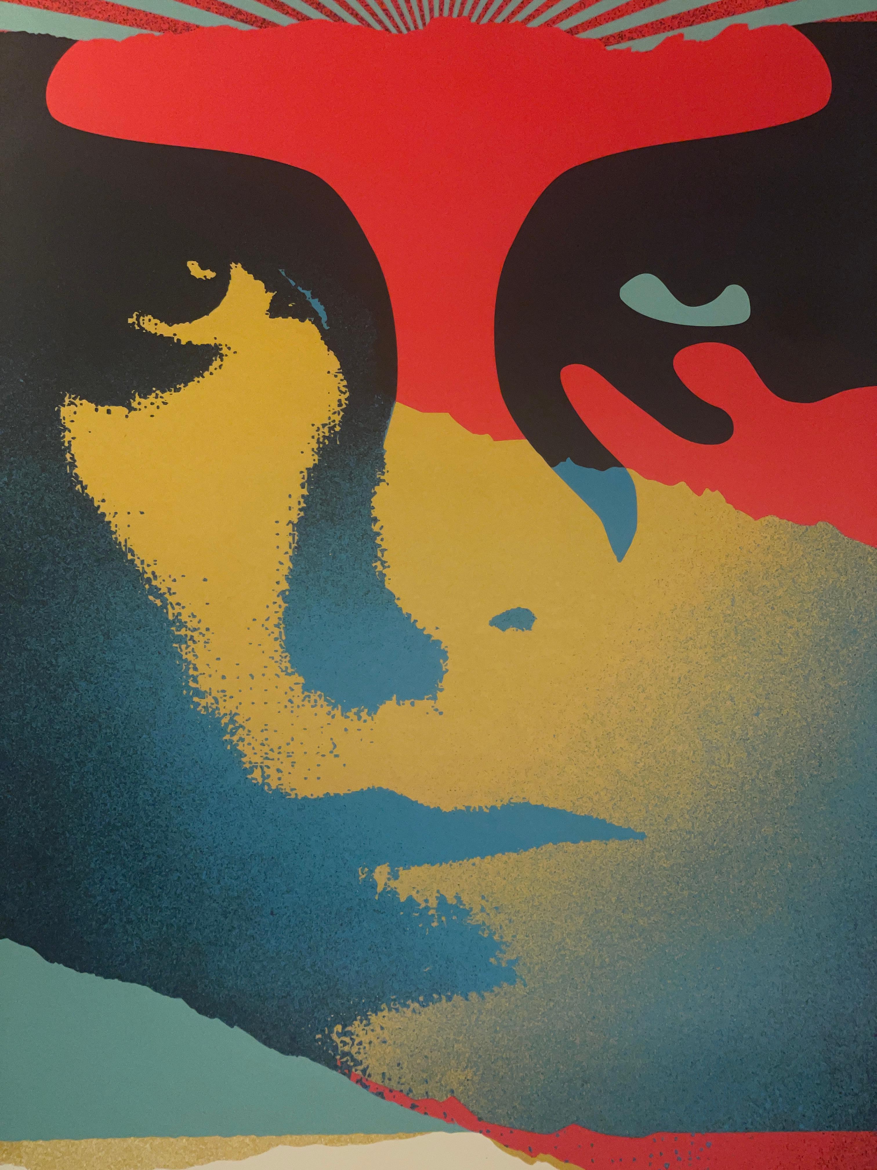 Shepard Fairey „A Cracked Icon“ David Bowie Screenprint Street Urban Obey Giant im Angebot 2