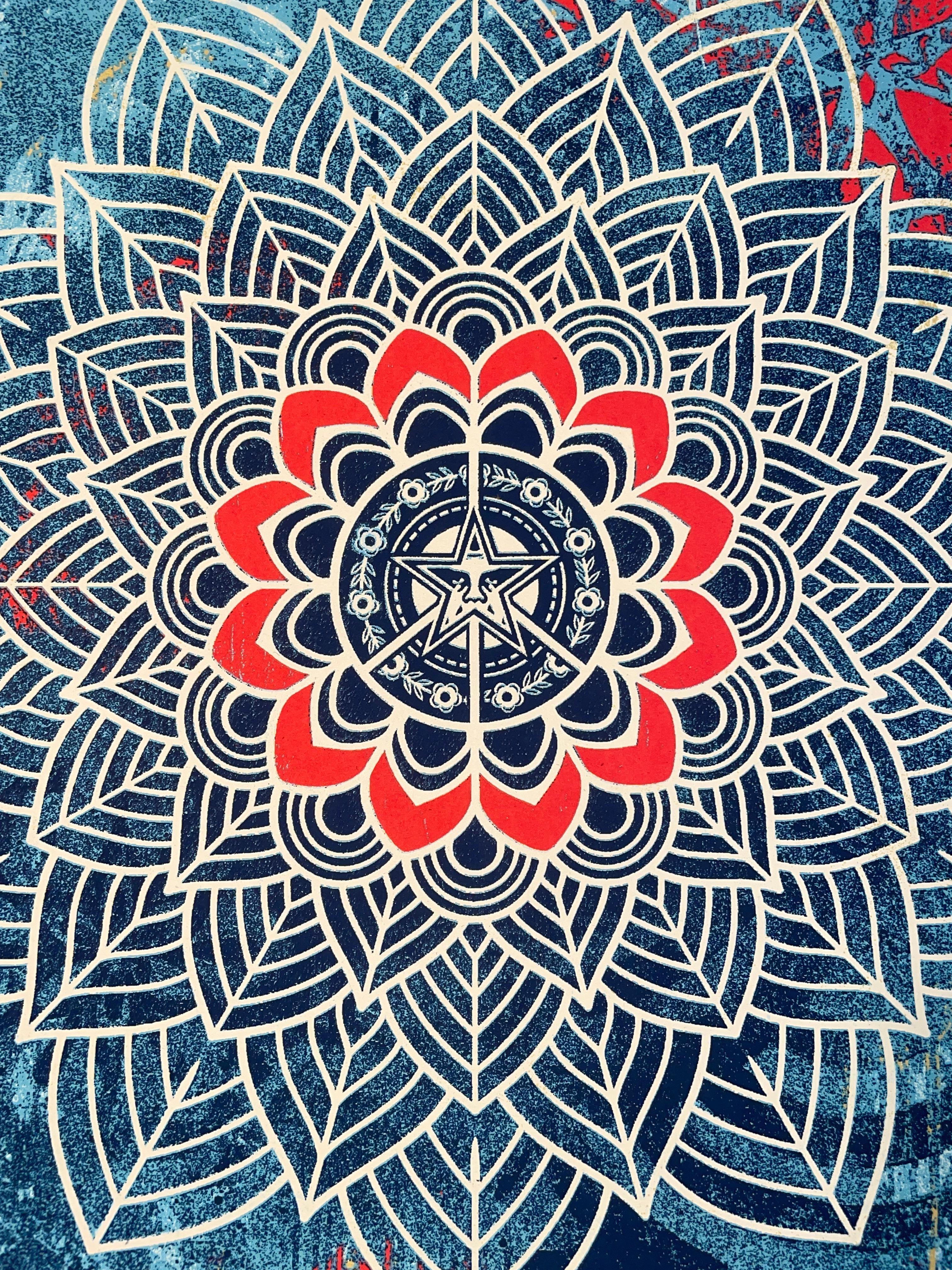 Shepard Fairey 